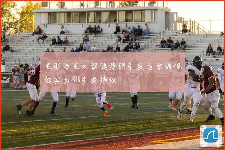 王彤与王大雷健身照引发吉尔调侃称其为SB引发热议