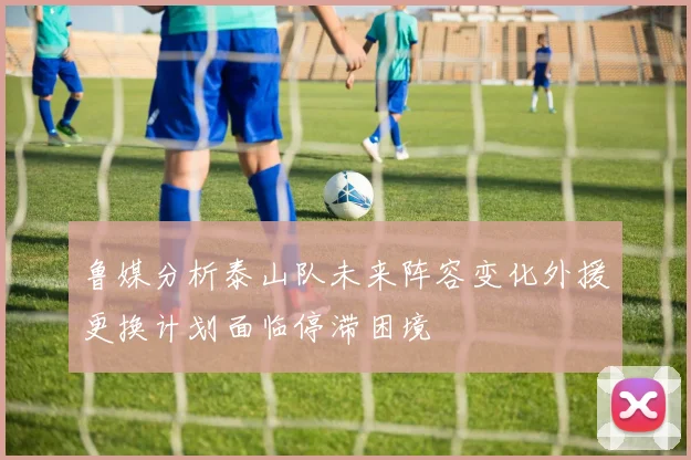 鲁媒分析泰山队未来阵容变化外援更换计划面临停滞困境
