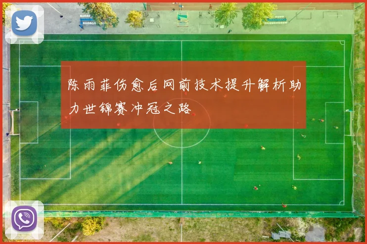 陈雨菲伤愈后网前技术提升解析助力世锦赛冲冠之路